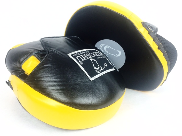 Kiboshu Trainer Focus Mitts "Brush"